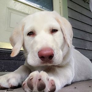 Meet your Posher, Elaine